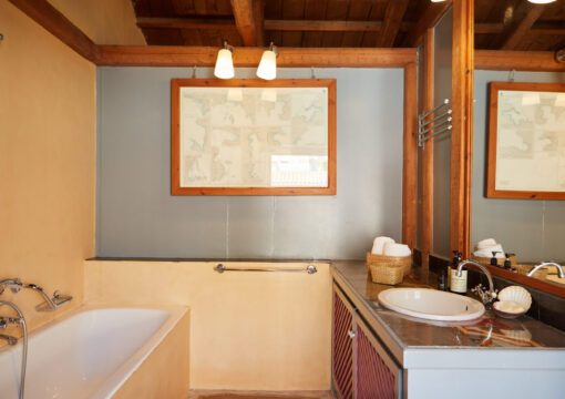 Junior Suite with Terrace